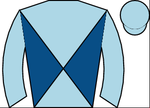 Horse silk