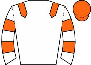 Horse silk