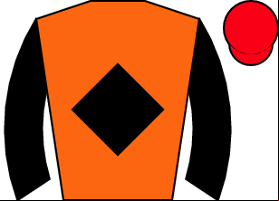Horse silk