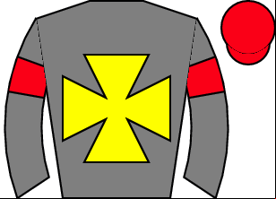 Horse silk