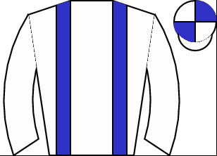Horse silk
