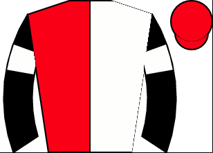 Horse silk
