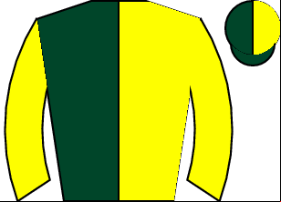 Horse silk