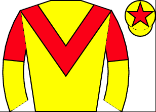 Horse silk