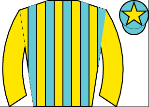Horse silk