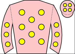 Horse silk