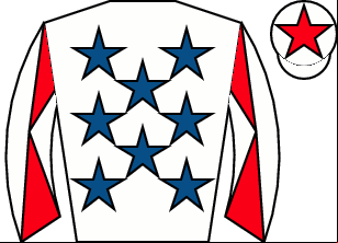 Horse silk
