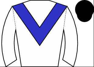 Horse silk