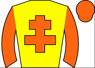 Horse silk