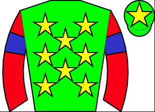 Horse silk