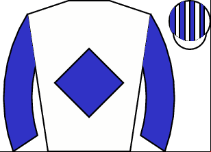 Horse silk
