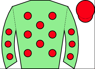 Horse silk