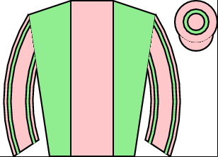 Horse silk