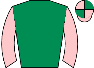 Horse silk
