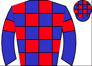 Horse silk