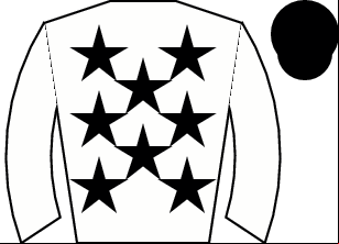 Horse silk