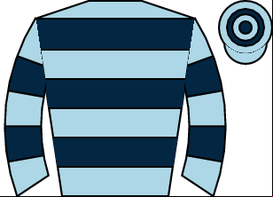 Horse silk
