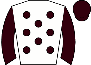 Horse silk