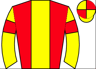 Horse silk