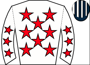 Horse silk