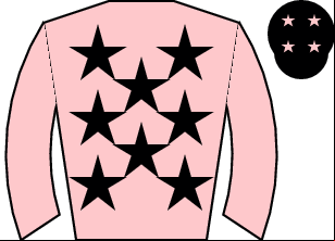 Horse silk