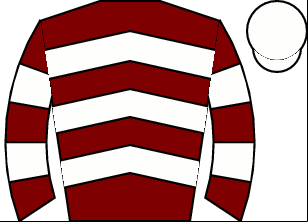 Horse silk