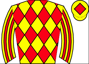 Horse silk