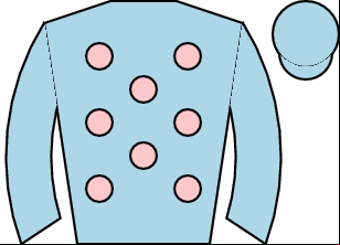 Horse silk