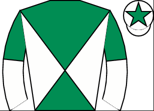 Horse silk