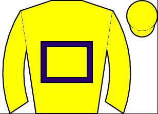 Horse silk