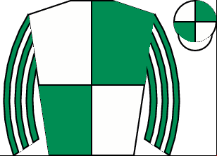 Horse silk