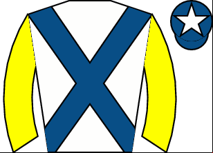 Horse silk