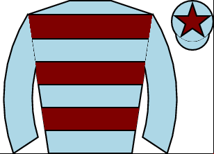 Horse silk