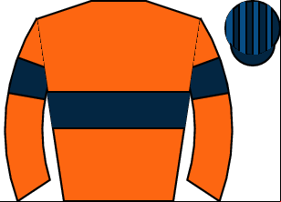 Horse silk