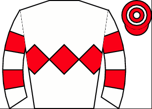 Horse silk