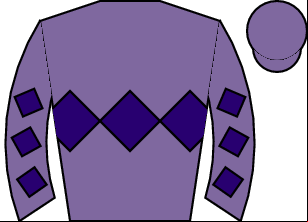 Horse silk