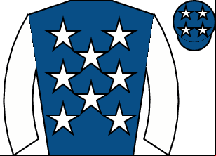 Horse silk