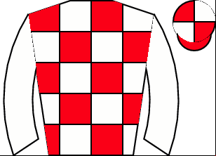 Horse silk