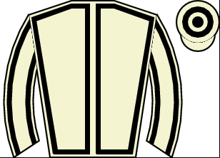 Horse silk