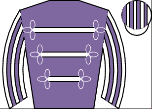 Horse silk