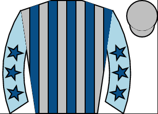 Horse silk