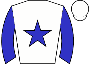 Horse silk