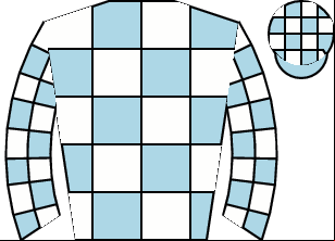Horse silk