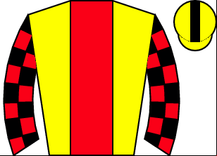 Horse silk