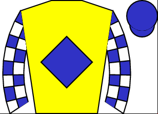 Horse silk