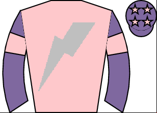 Horse silk