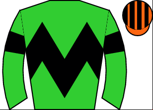 Horse silk