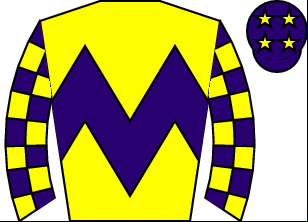 Horse silk