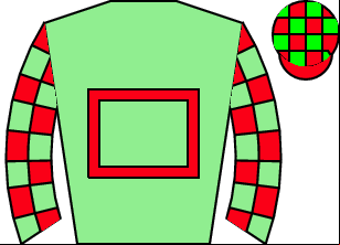Horse silk