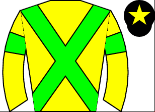 Horse silk